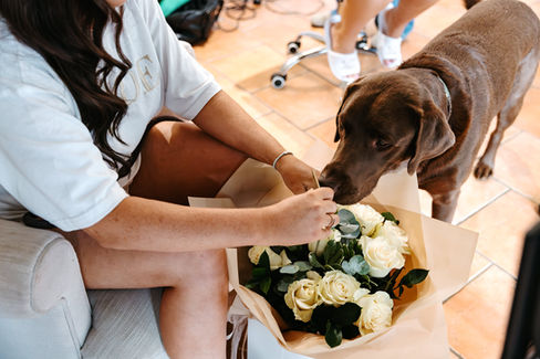 Dog sniffing flowers at High House Wedding, Maldon