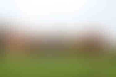 Seckford Hall wedding