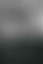 Guests singing along to saxophone at East Mersea Hall wedding