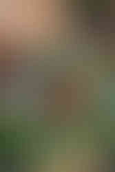 East Mersea Hall wedding - J&K