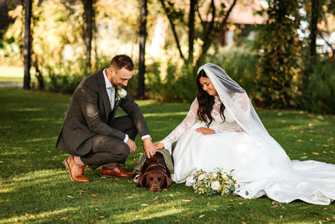 Bride and groom with sleepy dog at High House Wedding, Maldon