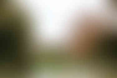 Bride and groom walking across grounds Seckford Hall wedding