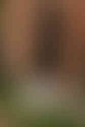 Children sitting at Seckford Hall wedding