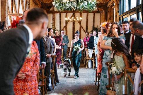 Bridesmaid and dog entering at High House Wedding, Maldon