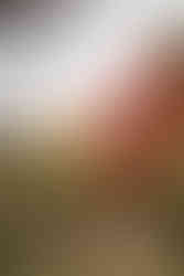 East Mersea Hall wedding venue