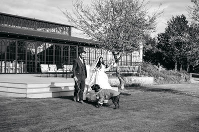 Bride and groom with dog outside orangery at High House Wedding, Maldon