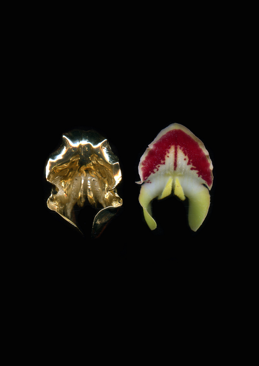 Thumbnail: "Orchid" Earrings