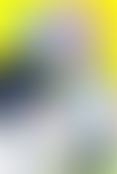 【出店情報】11月デザフェス