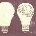 light-bulb-g05d3851a5_1920.jpg