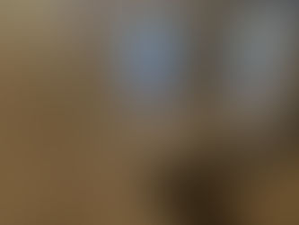 Terrazzo Floor Polishing