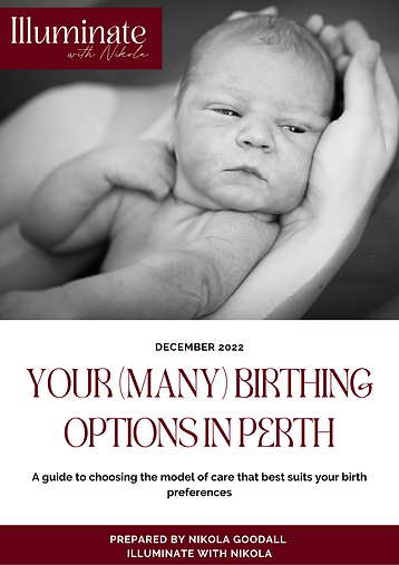 WB Birth Options.png