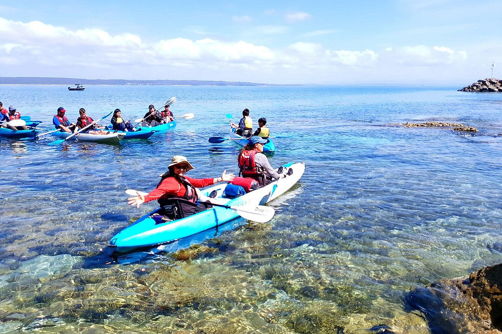 A healthier, more resilient NSW starts outdoors