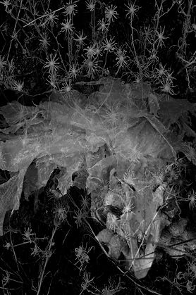 Darknes mother face overlay bw sm.jpg