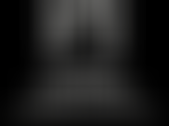 Praesentatio Primas Inquisitor - Values based Private Investigation and Security Firm 