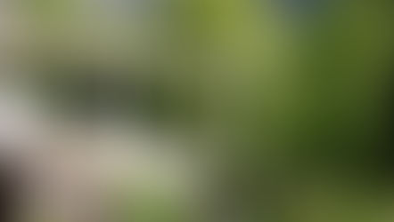 Confiturier ? Et pourquoi pas ?