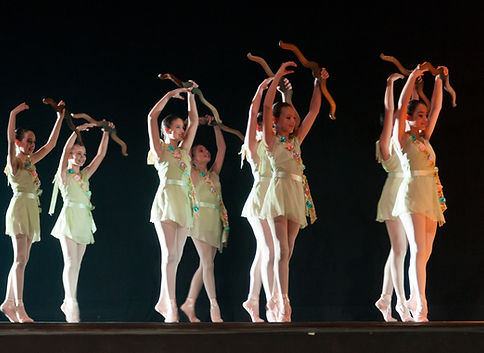 Ballet performance