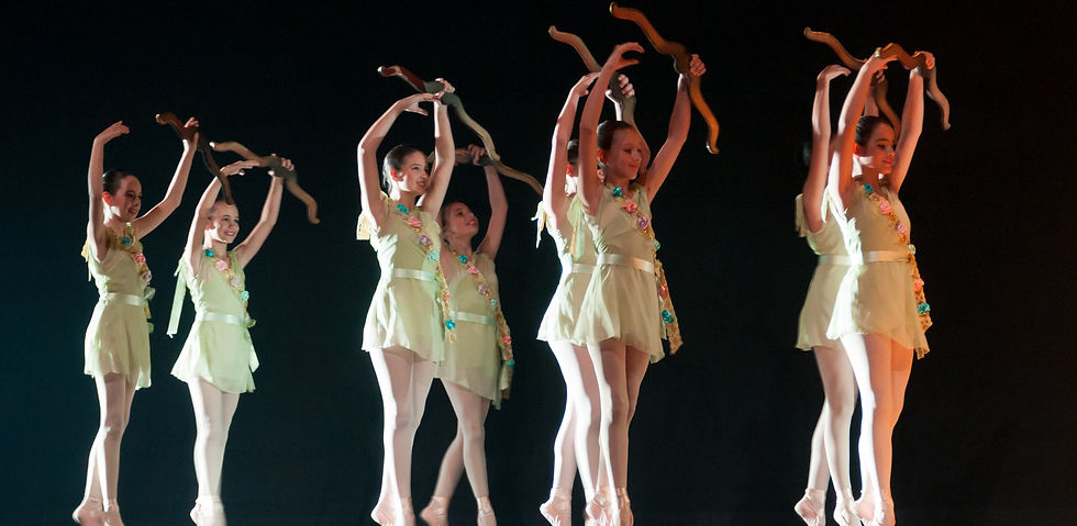 Ballet performance