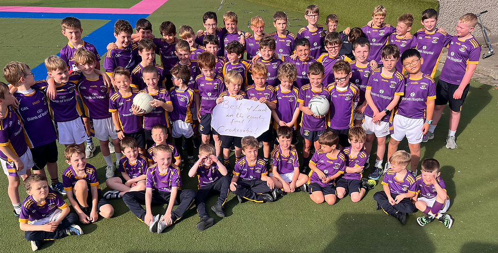 Crokes abú