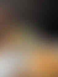 Chaolong Beef Stew, Php 280 