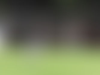 A puro Gol, entró a la Liguilla ...