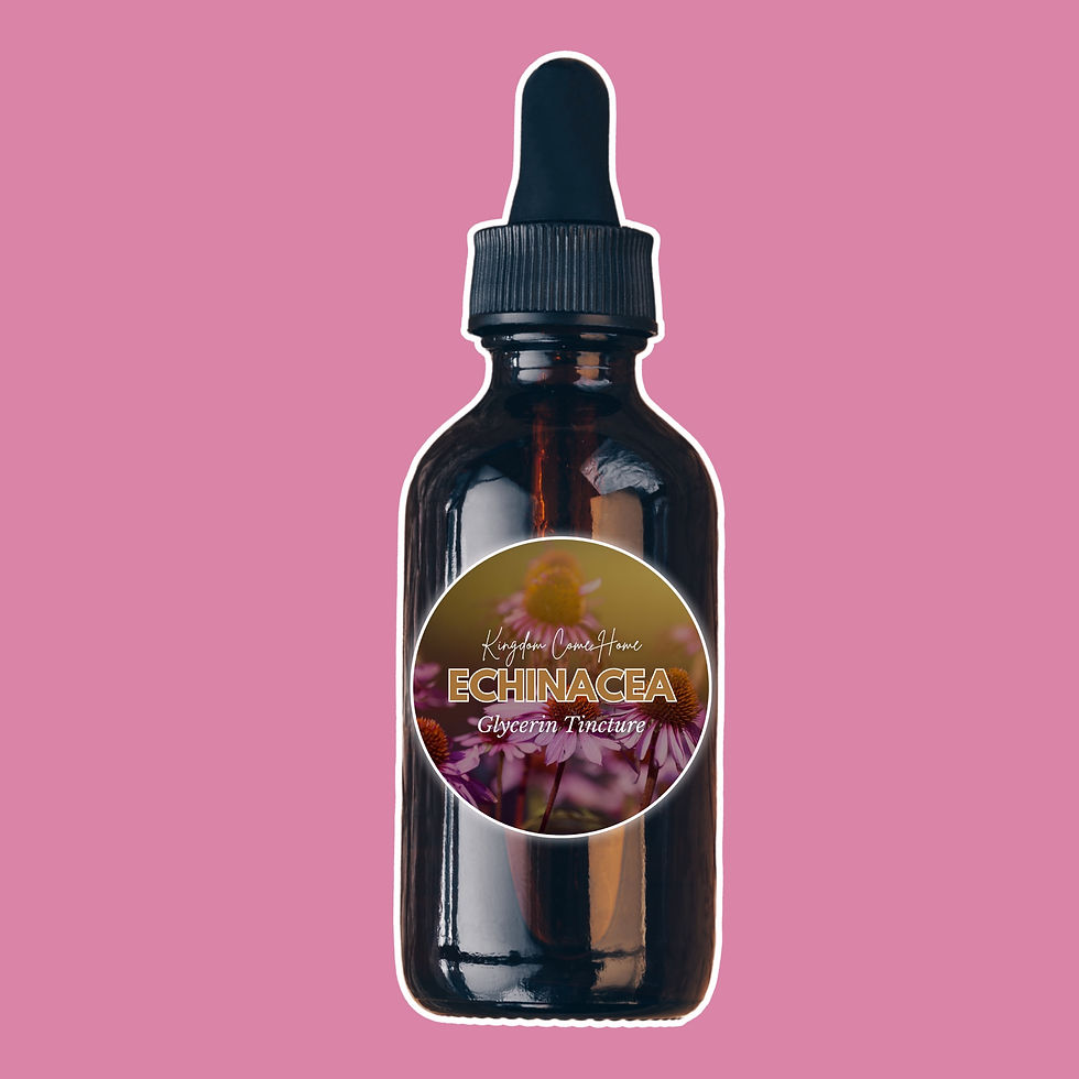 Thumbnail: Echinacea - Glycerin Tincture 