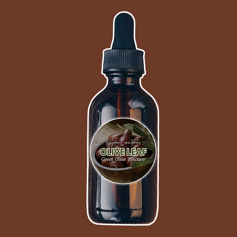 Thumbnail: Olive Leaf - Greek Olive Tincture 