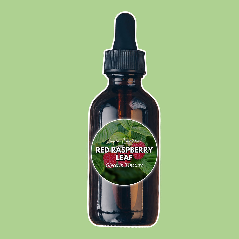 Thumbnail: Red Raspberry Leaf - Glycerin Tincture 
