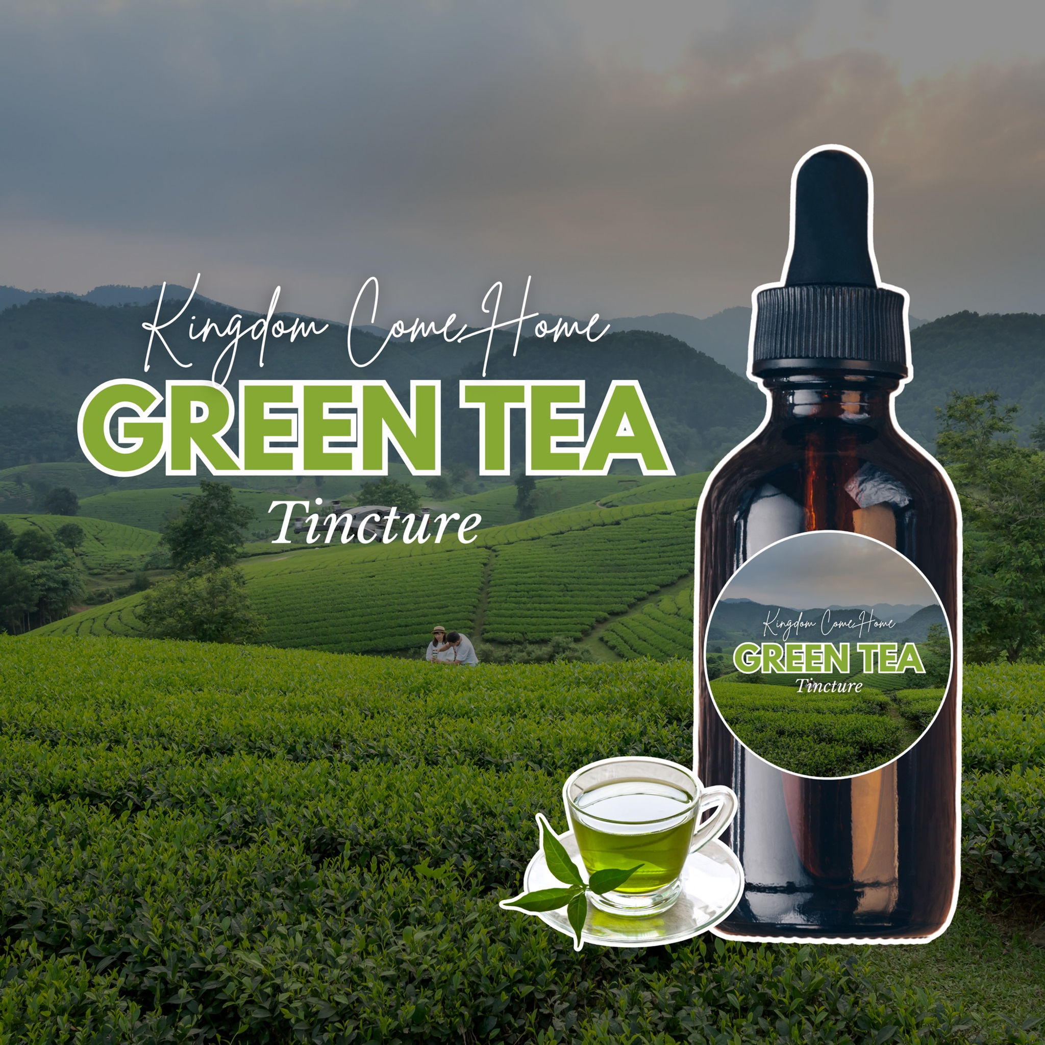 Green Tea Tincture