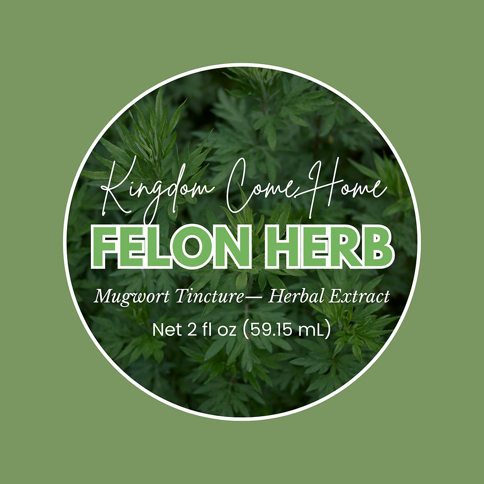 Thumbnail: Felon Herb (Mugwort) Tincture 