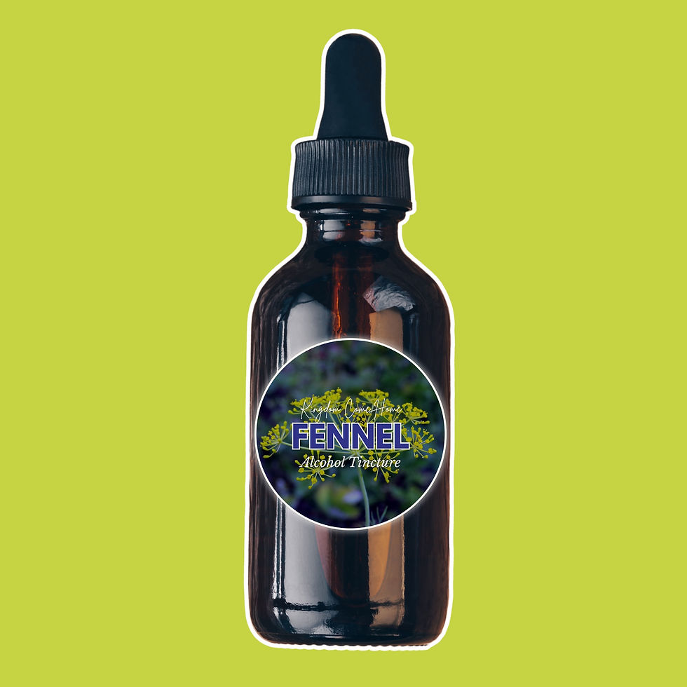 Thumbnail: Fennel - Alcohol Tincture