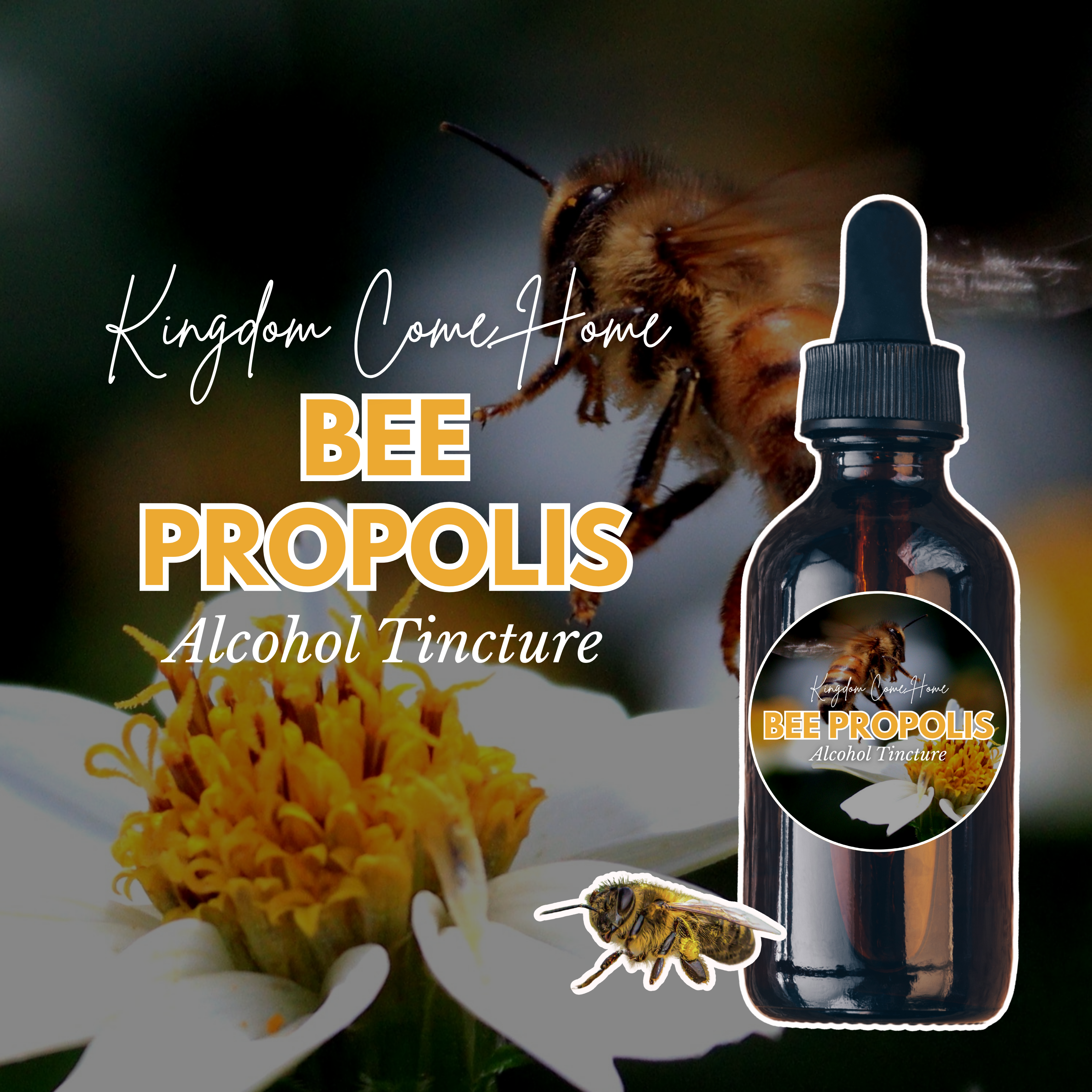 Bee Propolis - Alcohol Tincture
