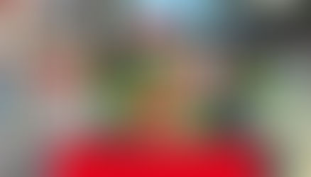 A Joyous Homecoming: Christopher Blenman Older Adult Club Reopens After Major Renovation