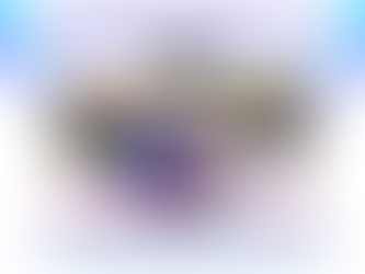 Fort Greene Council Joins NYC for the 33rd Annual National Older Adult Health & Fitness Day 2026