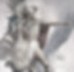 C5nk_HPUsAAR4iW_edited_edited_edited.jpg