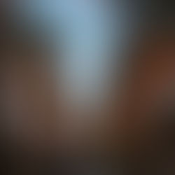 Everything You Need to Know about the Date Palm Tree: 20 Interesting Facts