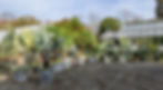 Winter Plant Storage in CT or New York or New Jersey or Rhode Island or Massachusetts