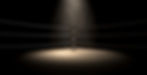 boxing_ring_edited.jpg