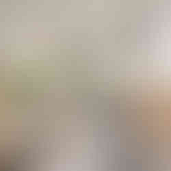 miami tulum restaurant designed by studio 790