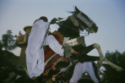 Horsemen at the traditional Ramadan