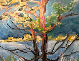 Two Canal Trees.jpg