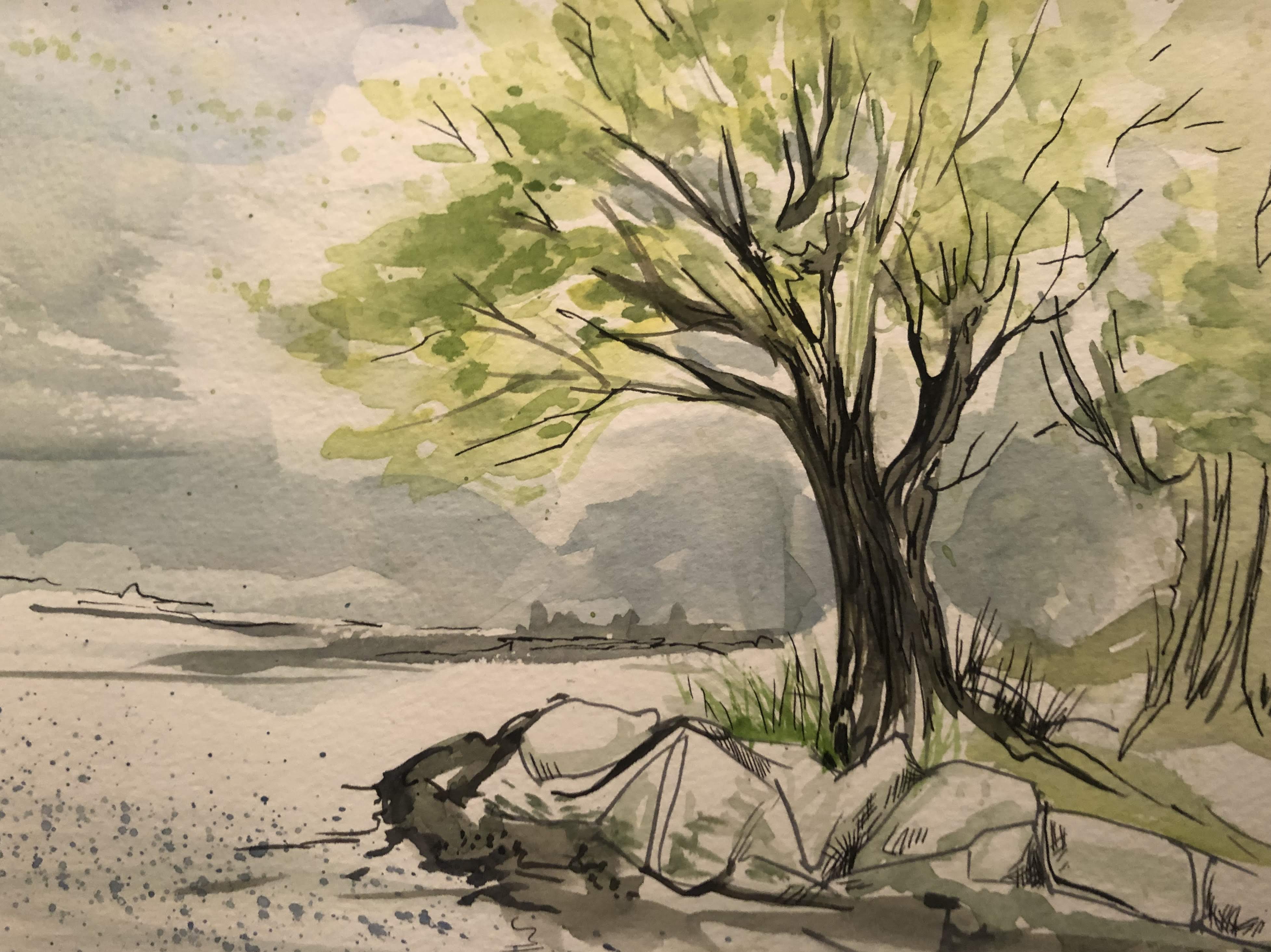 Shoreline Spring