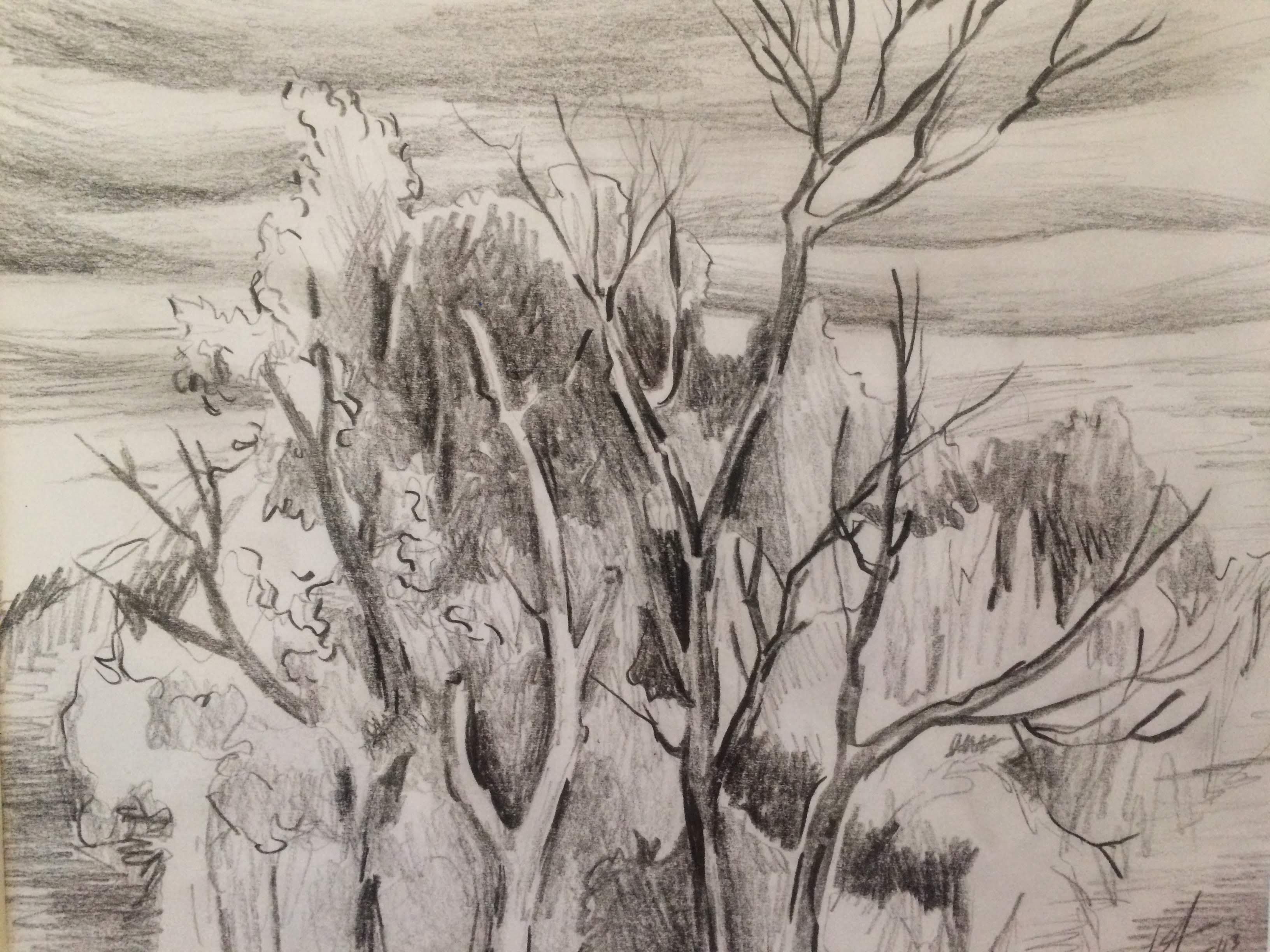 Grove of Trees