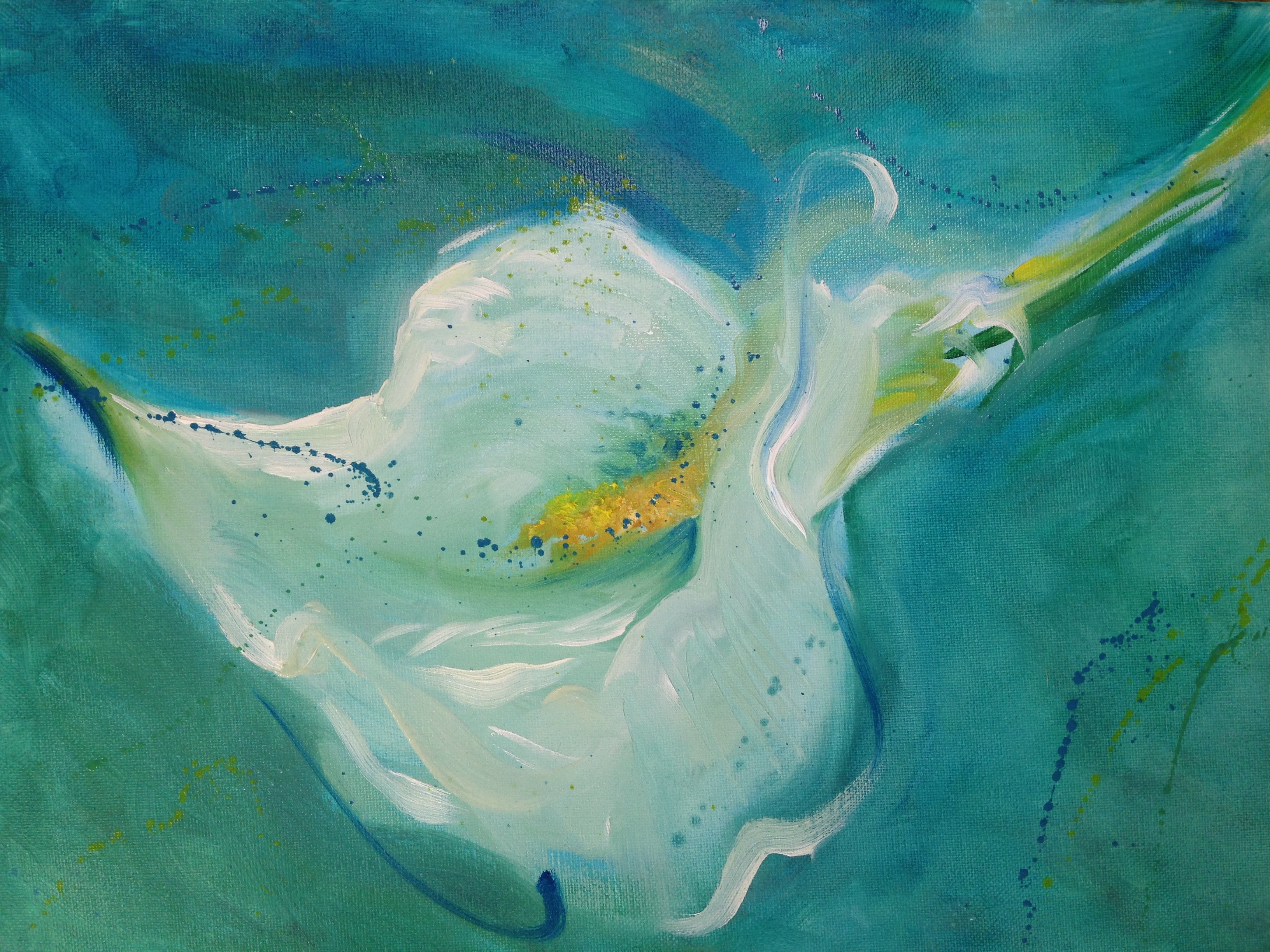 Calla Lily