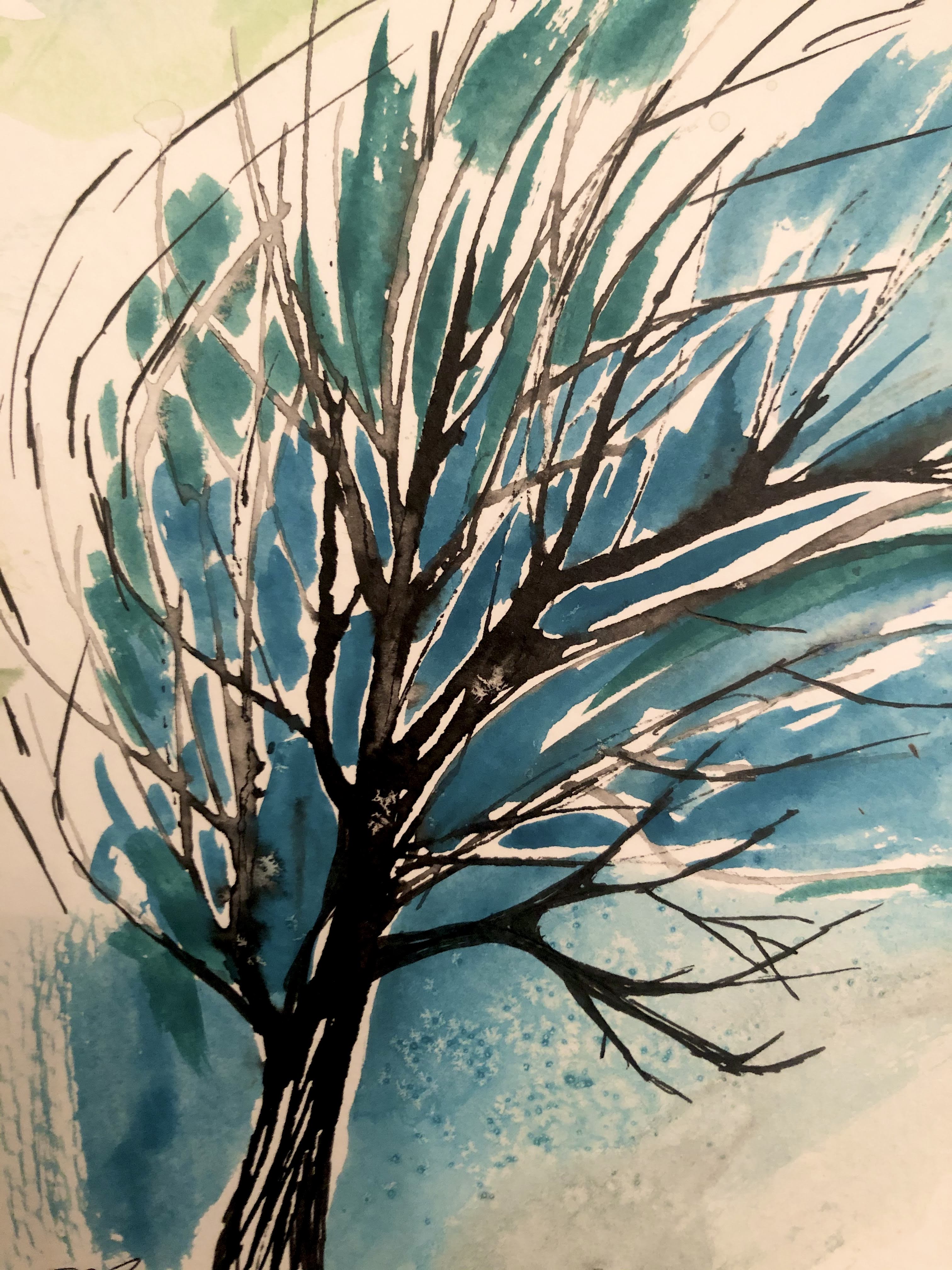 Teal Wind
