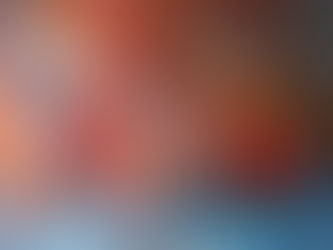 First Public Exhibit