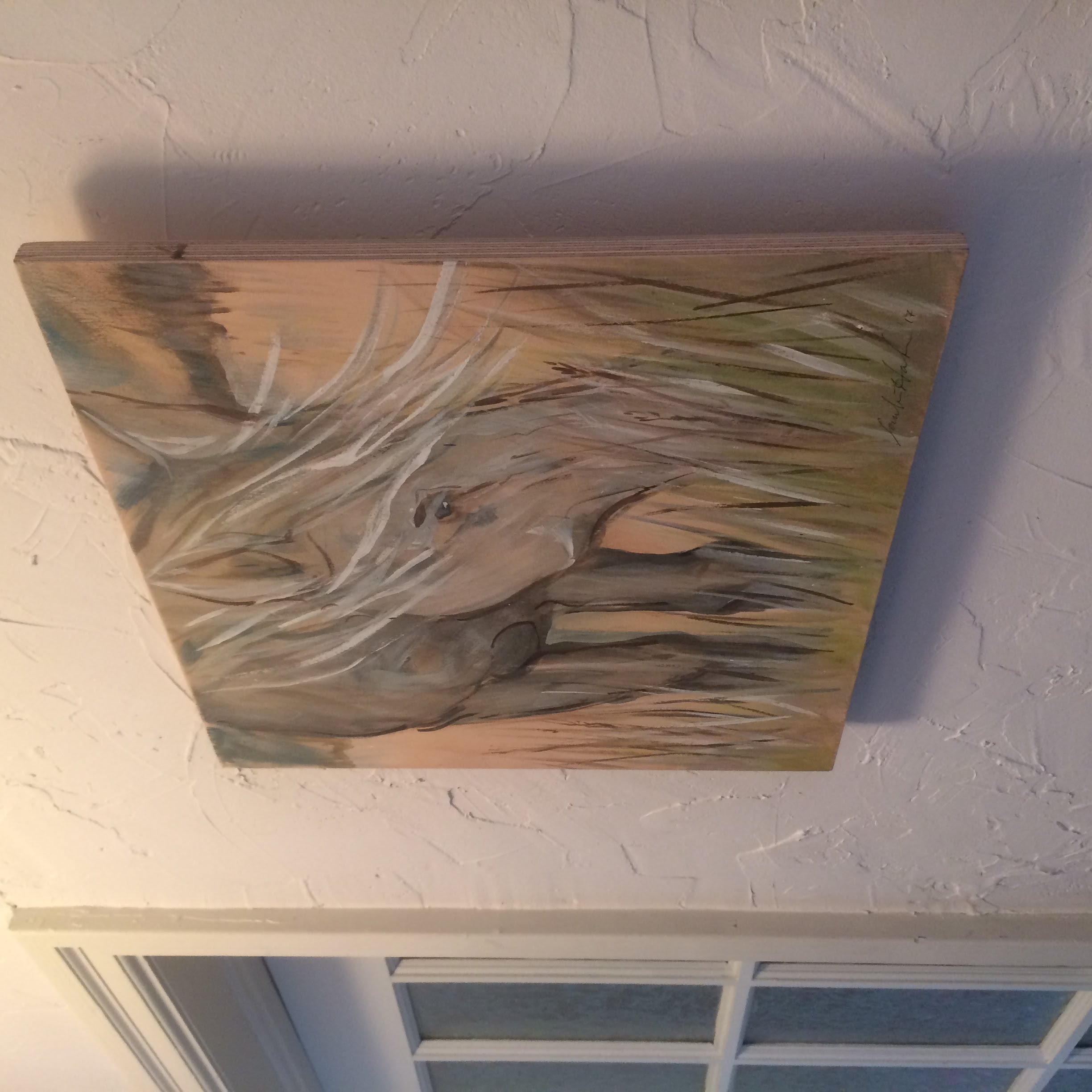 Escarpment Horse