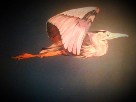 Mural Meanderings