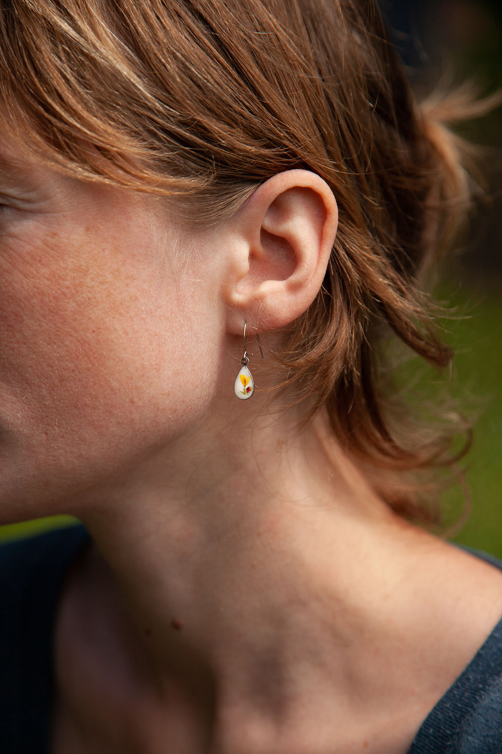 SORBIER - Alysson des montagnes & Oseille rumex