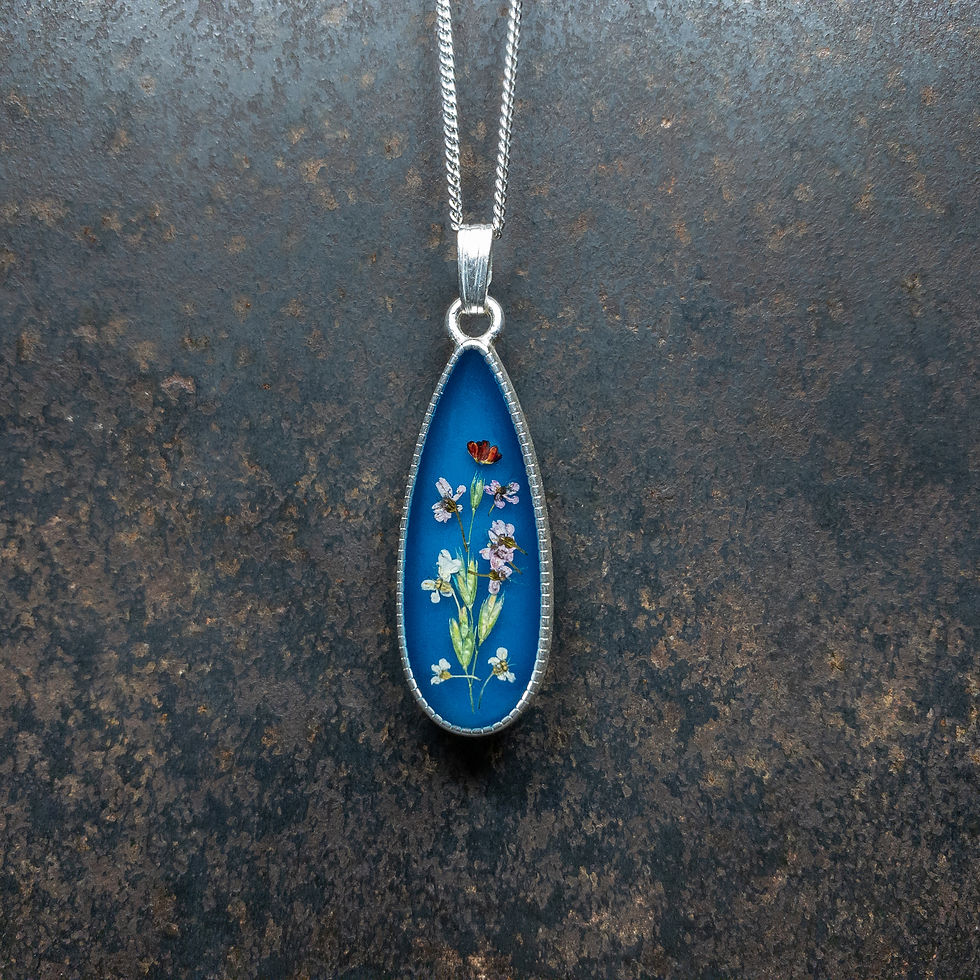 EPILOBE - Alysse odorante, Grand boucage, Carotte sauvage