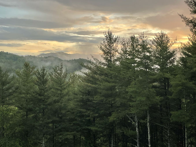Bearcat Cove View.jpg